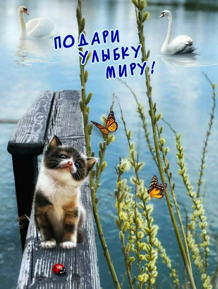 ПОДАРИ УЛЫБКУ МИРАМ!