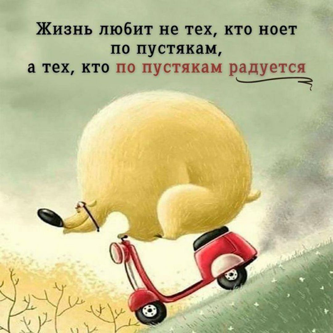 Жизнь любит не тех, кто ноет по пустякам, а тех, кто по пустякам радуется.