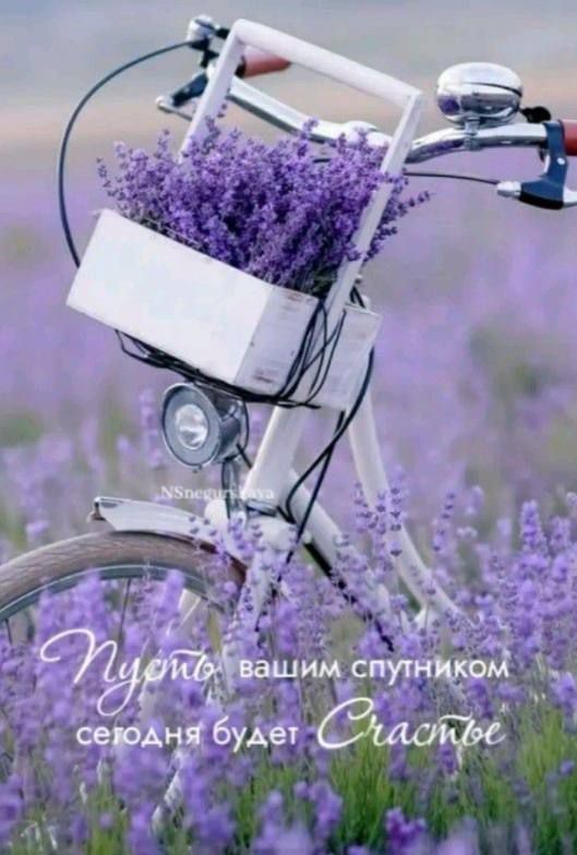Пусть вашим спутником сегодня будет Счастье