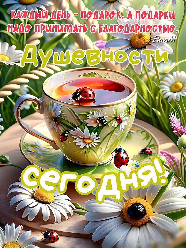 Каждый день - подарок. А подарки надо принимать с благодарностью. Душевности сегодня!