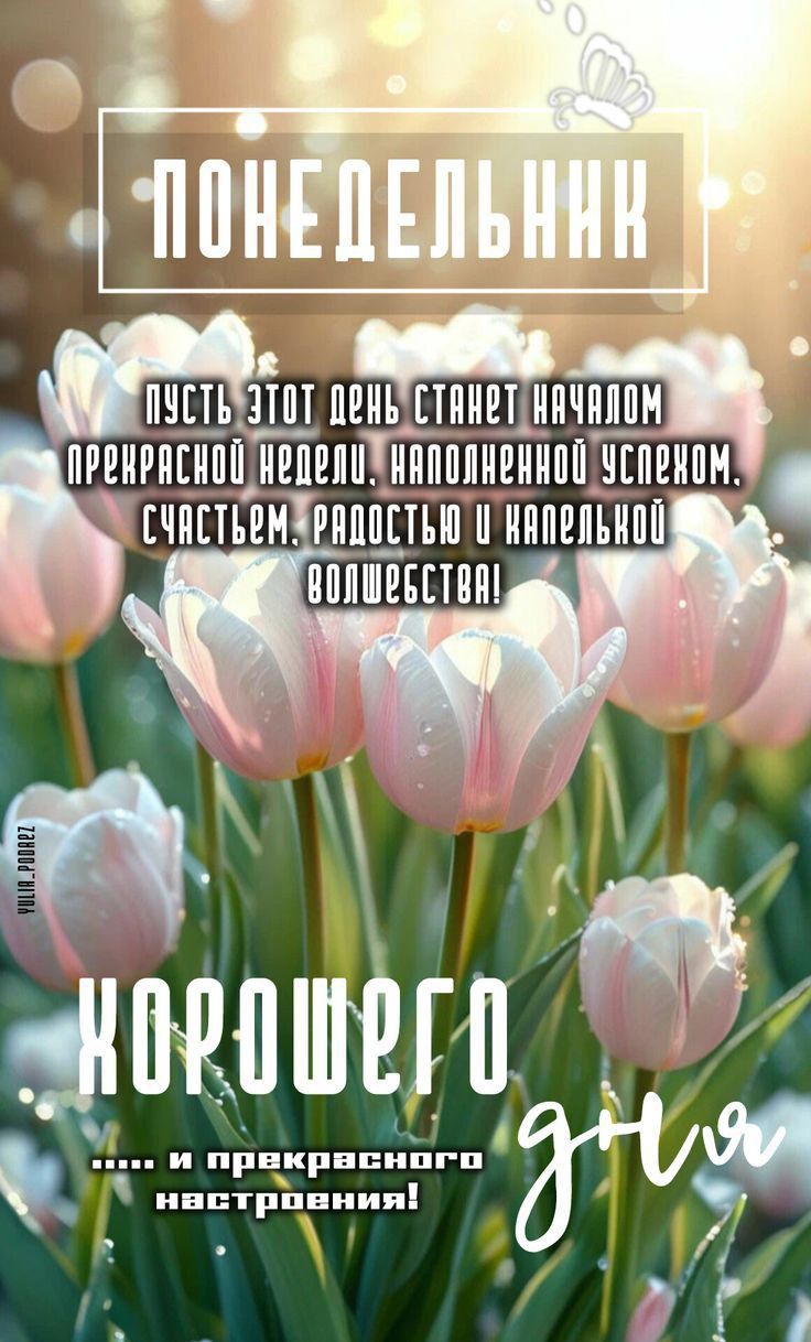 ПОНИДЕЛЬНИК
ПУСТЬ ЭТОТ ДЕНЬ СТАНЕТ НАЧАЛОМ ПРЕКРАСНОЙ НЕДЕЛИ, НАПОЛНЕННОЙ УСПЕХОМ, СЧАСТЬЕМ, РАДОСТЬЮ И КАПЕЛЬКОЙ ВОЛШЕБСТВА!
ХОРОШЕГО ДНЯ
.... И ПРЕКРАСНОГО НАСТРОЕНИЯ!