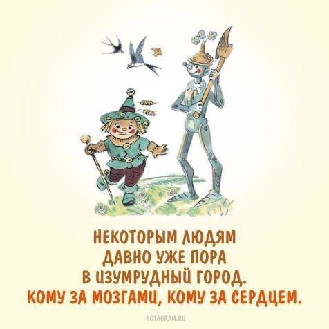 Некоторым людям давно уже пора в Изумрудный город. Кому за мозгами, кому за сердцем.