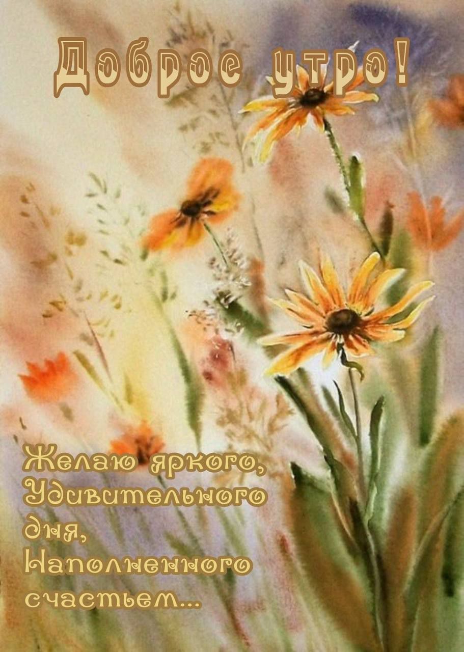Доброе утро! Желаю яркого, Удивительного дня, Наполненного счастьем...