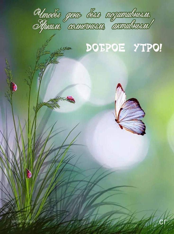 Чтобы день был позитивным, ярким, солнечным, активным! ДОБРОЕ УТРО!