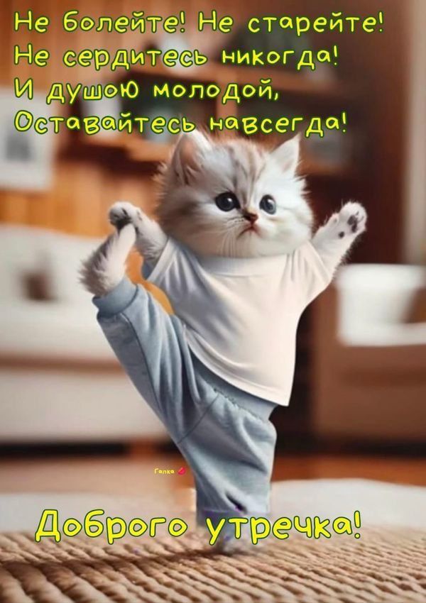 Не болейте! Не старейте! Не сердитесь никогда! И душою молодой, Оставайтесь навсегда! Доброе утречка!