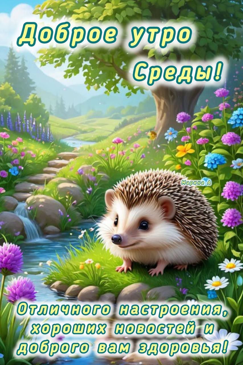Доброе утро Середы! Отличного настроения, хороших новостей и доброго вам здоровья!