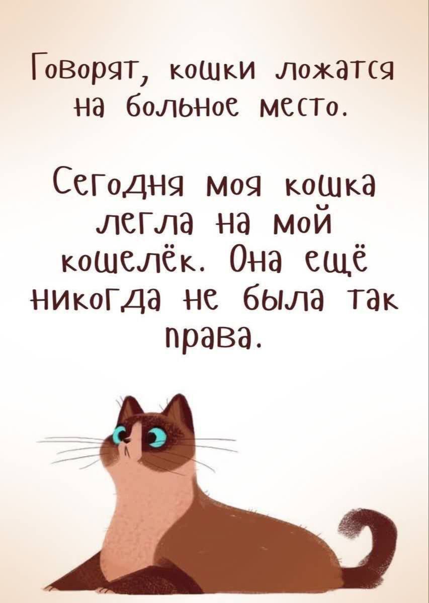 Говорят, кошки ложатся на больное место.
Сегодня моя кошка легла на мой кошелёк. Она ещё никогда не была так права.