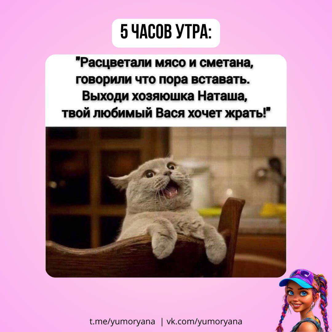 5 ЧАСОВ УТРА:
