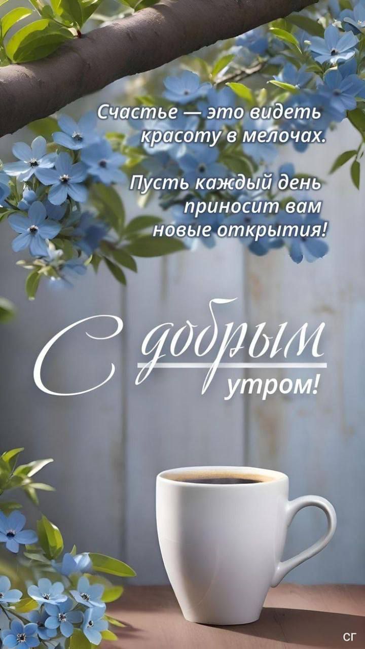 Счастье — это видеть красоту в мелочах.
Пусть каждый день приносит вам новые открытия!
С добрым утром!