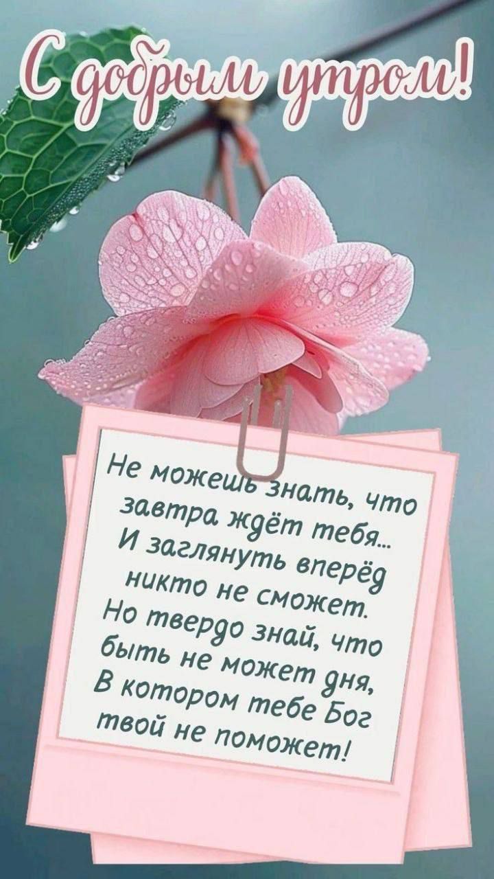С добрым утром!

Не можешь знать, что завтра ждёт тебя...
И заглянуть вперёд никто не сможет.
Но твёрдо знай, что быть не может дня, в котором тебе Бог твой не поможет!