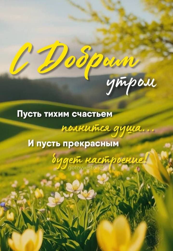 С Добрым утром
Пусть тихим счастьем
полнится душа...
И пусть прекрасным
будет настроение!