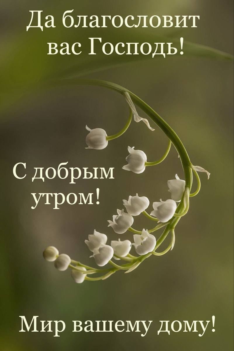 Да благословит вас Господь! С добрым утром! Мир вашему дому!