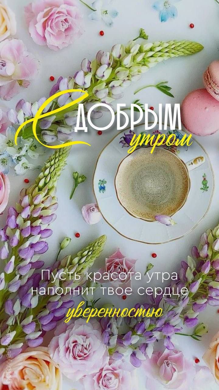 С ДОБРЫМ утром
Пусть красота утра наполнит твое сердце уверенностью