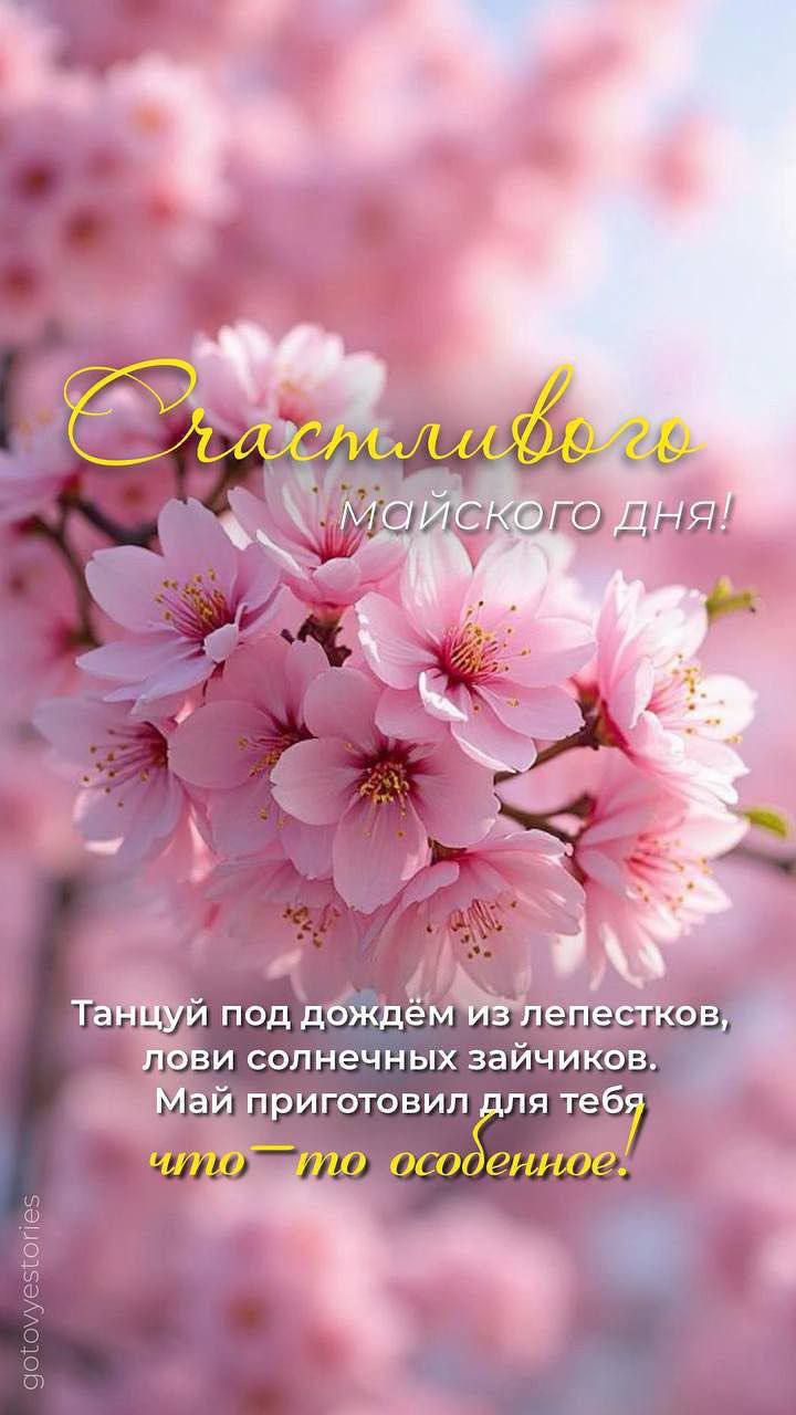 Счастливого майского дня! Танцуй под дождём из лепестков, лови солнечных зайчиков. Май приготовил для тебя что-то особенное!
