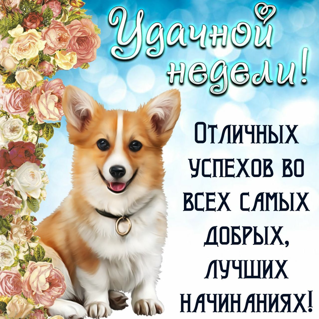 Удачной недели!
Отличных успехов во всех самых добрых, лучших начинаниях!