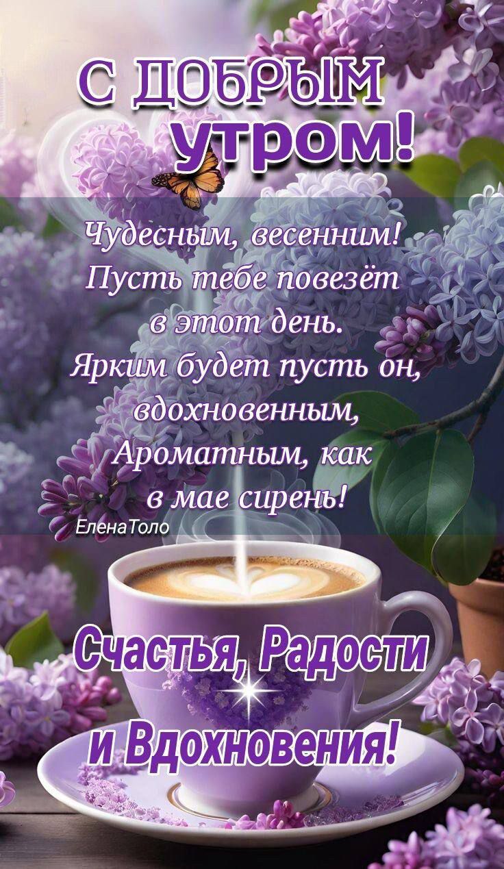 С ДОБРЫМ УТРОМ! Чудесным, весенним! Пусть тебе повезёт в этот день. Ярким будет пусть он, вдохновенным, Ароматным, как в мае сирень! Елена Толо Счастья, Радости и Вдохновения!