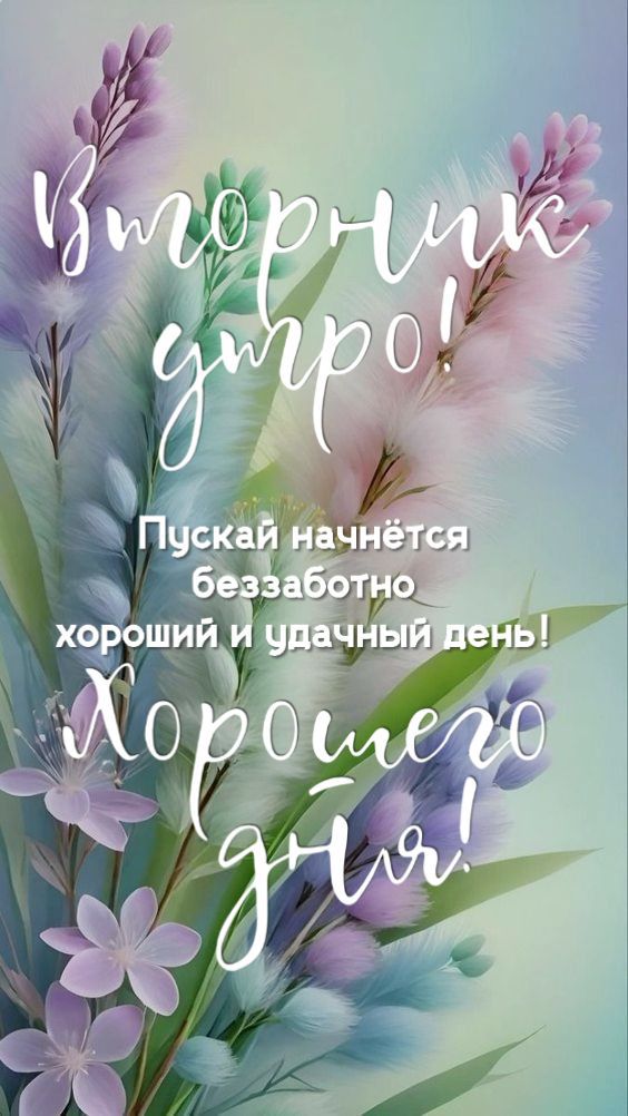 Вторник утро!
Пусть начнётся беззаботно хороший и удачный день!
Хорошего дня!