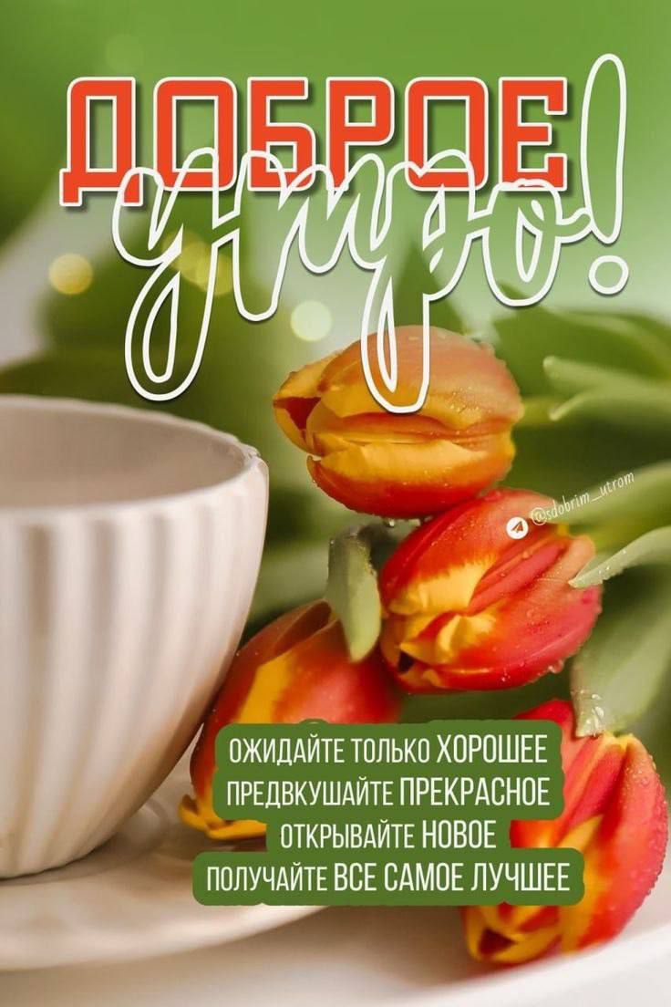 ДОБРОЕ УТРО! ОЖИДАЙТЕ ТОЛЬКО ХОРОШЕЕ ПРЕДВКУШАЙТЕ ПРЕКРАСНОЕ ОТКРЫВАЙТЕ НОВОЕ ПОЛУЧАЙТЕ ВСЕ САМОЕ ЛУЧШЕЕ