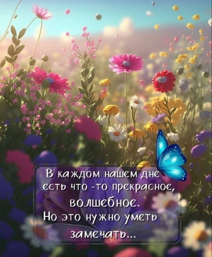В каждом нашем дне есть что-то прекрасное, волшебное. Но это нужно уметь замечать...