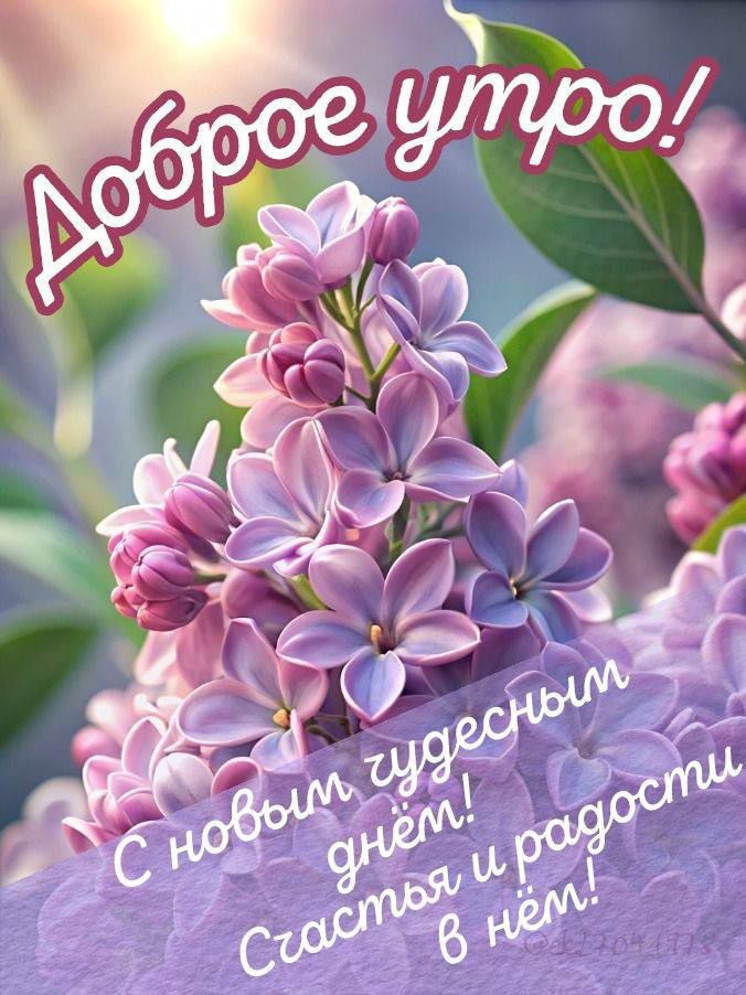 Доброе утро!
С новым чудесным днем! Счастья и радости в нём!