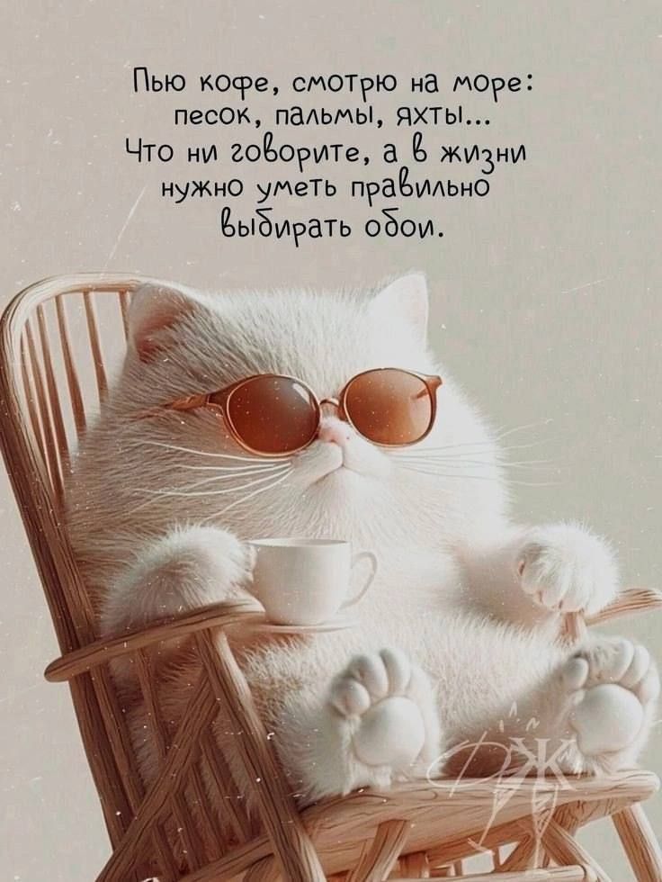 Пью кофе, смотрю на море: песок, пальмы, яхты... Что ни говорите, а в жизни нужно уметь правильно выбирать обои.
