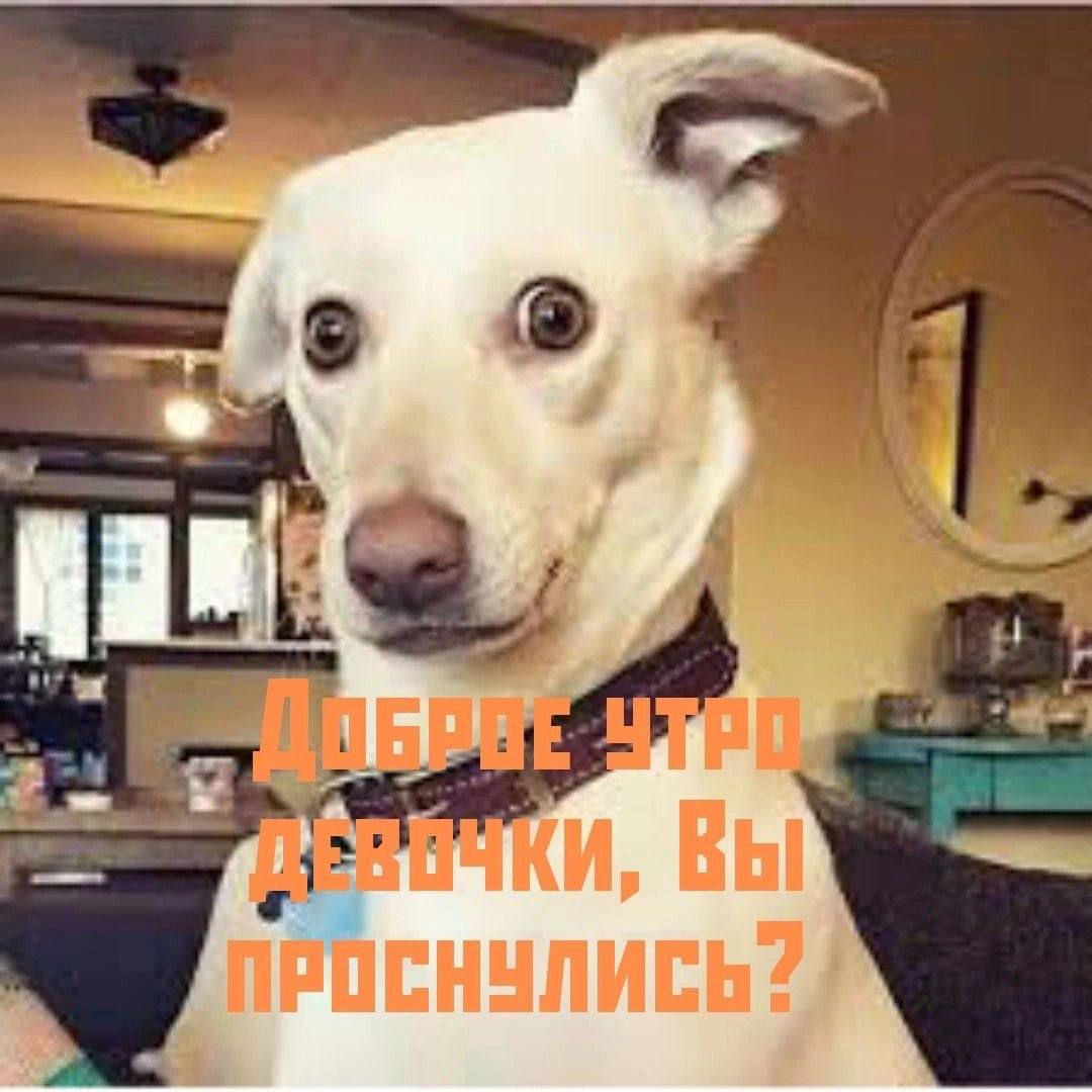 Доброе утро девочки, Вы проснулись?