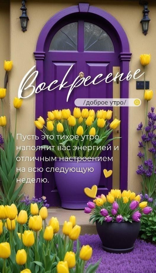 Воскресенье
/доброе утро/
Пусть это тихое утро наполнит вас энергией и отличным настроением на всю следующую неделю.