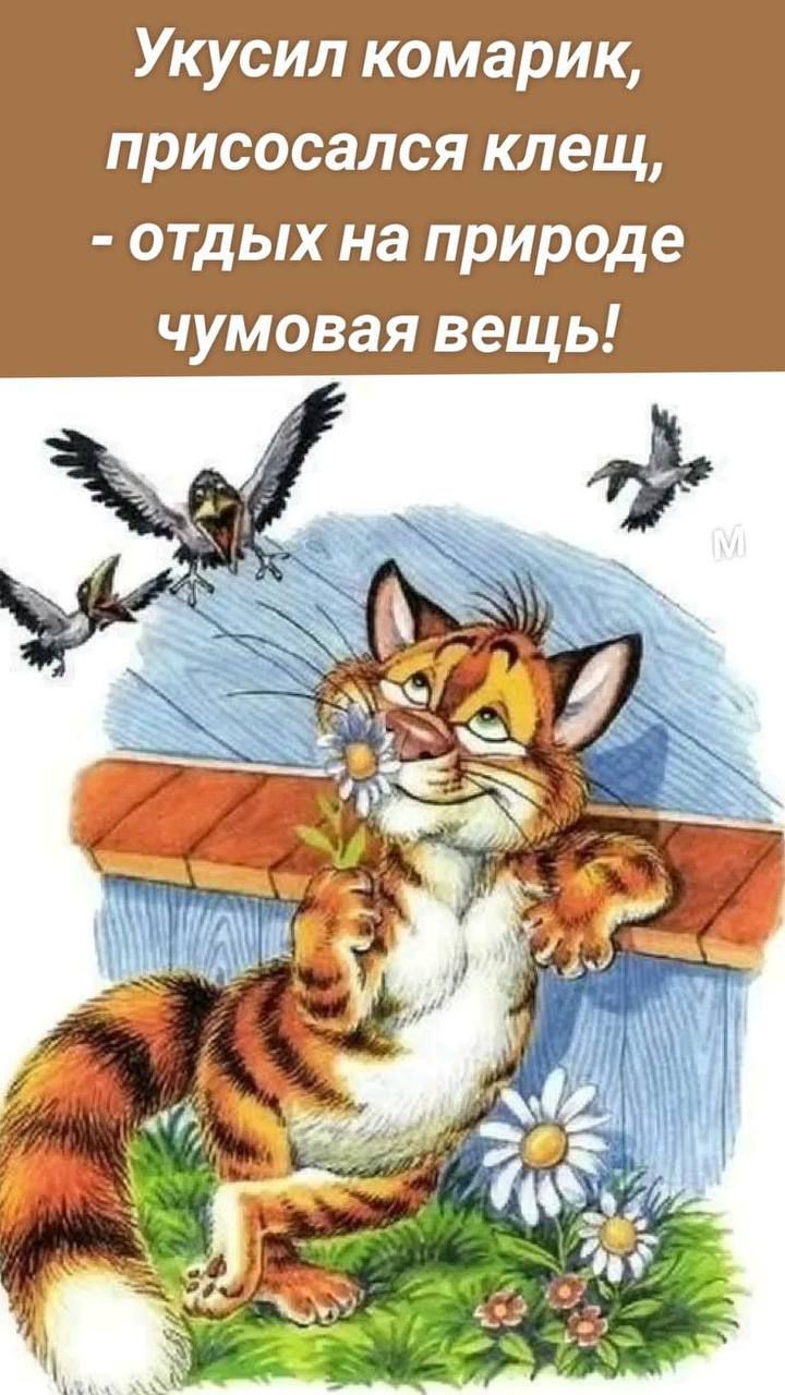 Укусил комарик, присосался клещ, - отдых на природе чумовая вещь!