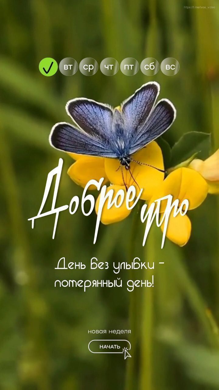 Доброе утро
День без улыбки - потерянный день!
новая неделя
начать