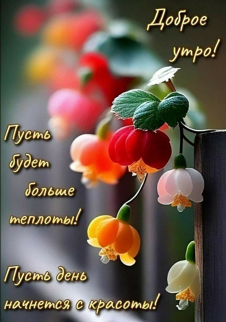 Доброе утро! Пусть будет больше теплоты! Пусть день начнется с красоты!