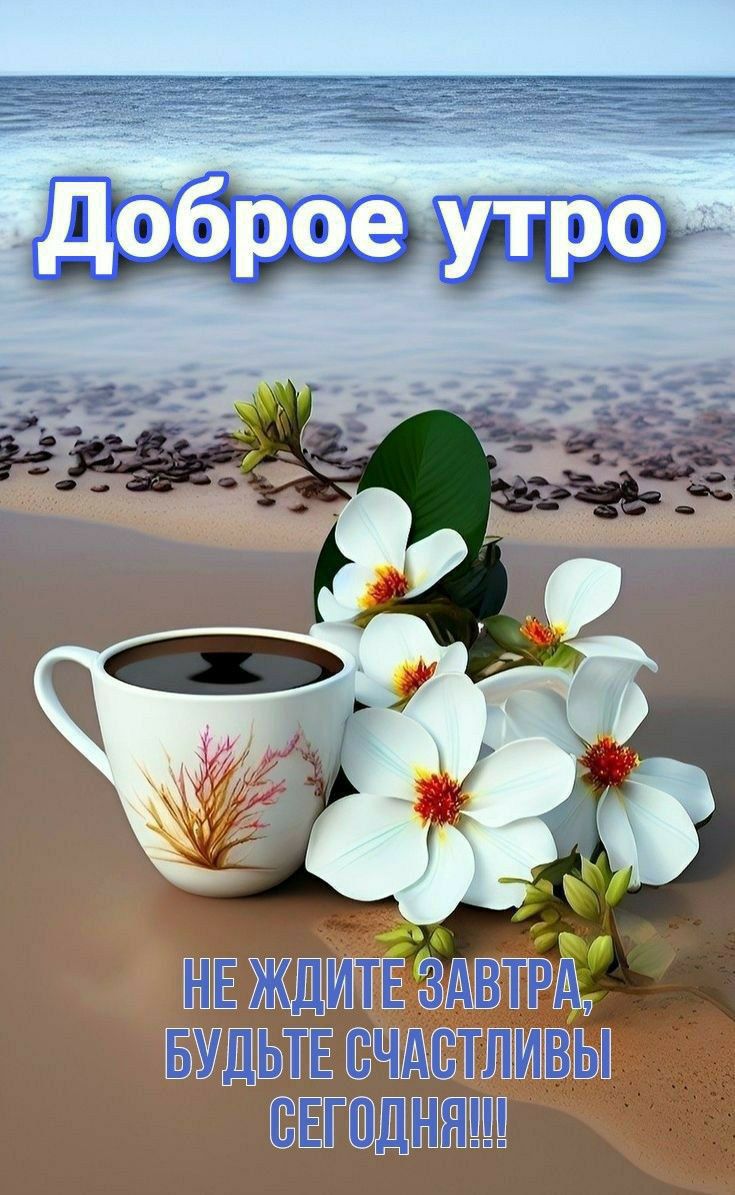 Доброе утро
НЕ ЖДИТЕ ЗАВТРА, БУДЬТЕ СЧАСТЛИВЫ СЕГОДНЯ!!!