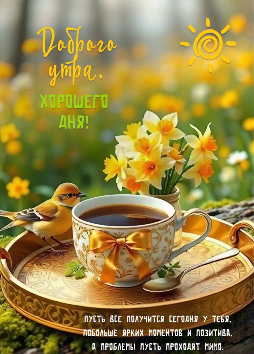 Доброе утро. Хорошего дня! Пусть все получится сегодня у тебя, побольше ярких моментов и позитива, а проблемы пусть проходят мимо.