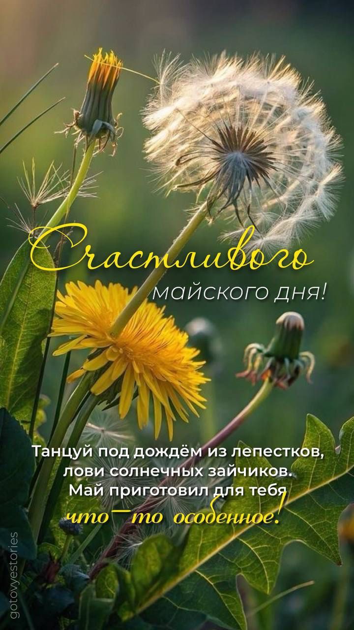 Счастливого майского дня!
Танцуй под дождём из лепестков, лови солнечных зайчиков. Май приготовил для тебя что-то особенное!