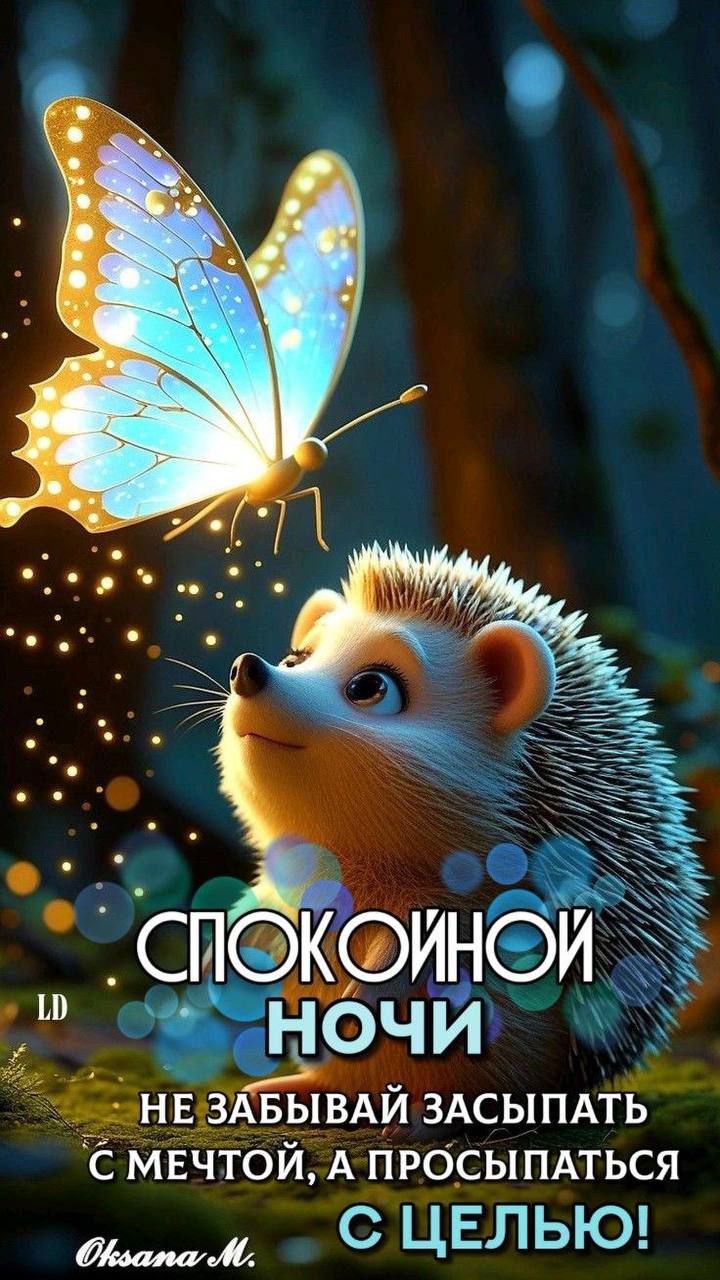СПОКОЙНОЙ НОЧИ
НЕ ЗАБЫВАЙ ЗАСЫПАТЬ С МЕЧТОЙ, А ПРОСЫПАТЬСЯ С ЦЕЛЬЮ!