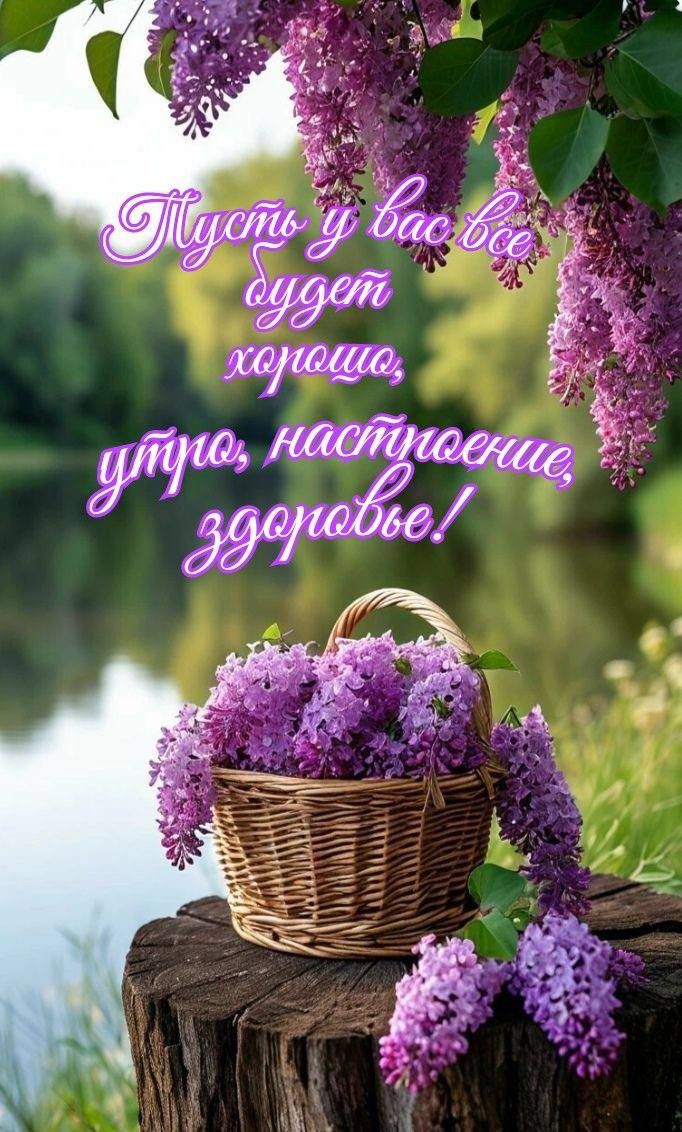 Пусть у вас всё будет хорошо, утро, настроение, здоровье!