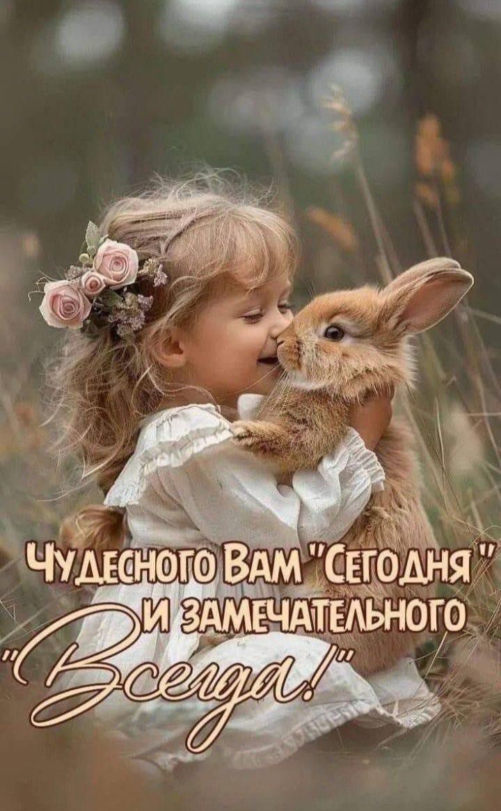 Чудесного Вам 