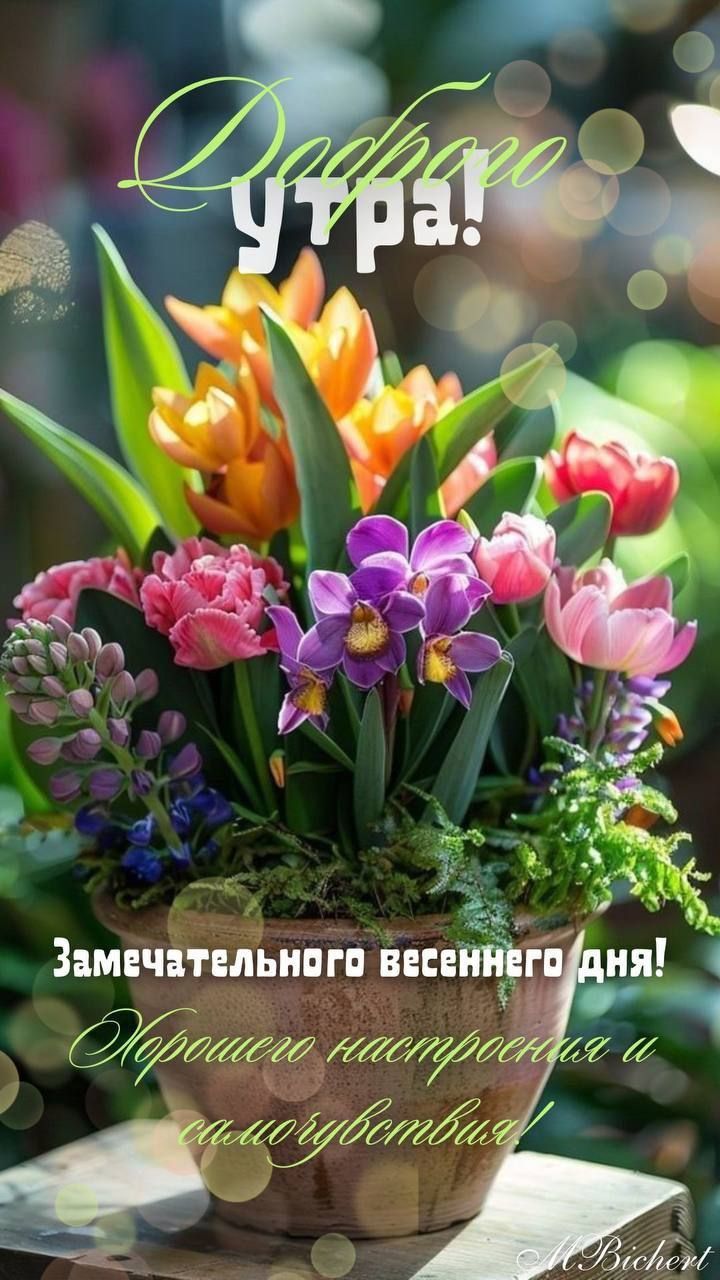 Доброе утро! Замечательного весеннего дня! Хорошего настроения и самочувствия!