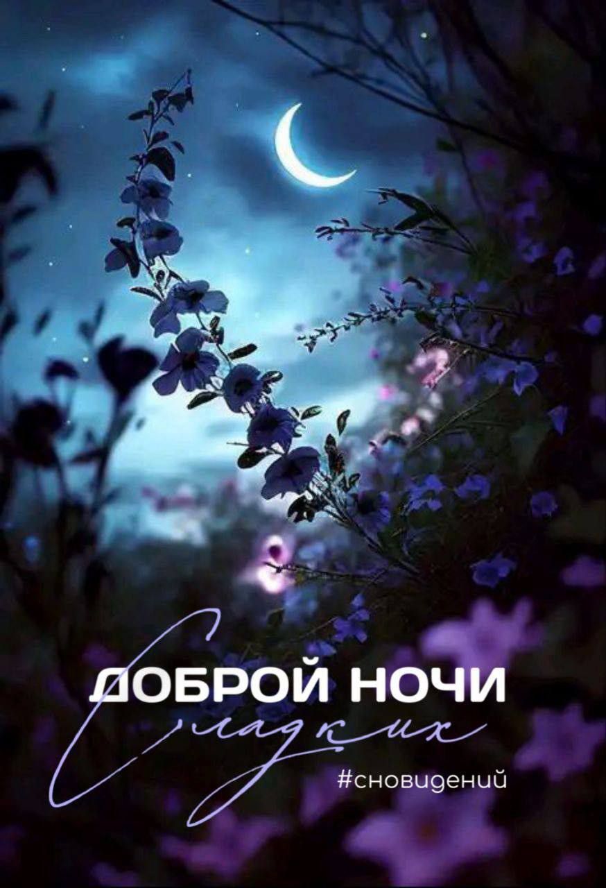 Доброй ночи сладких #сновидений