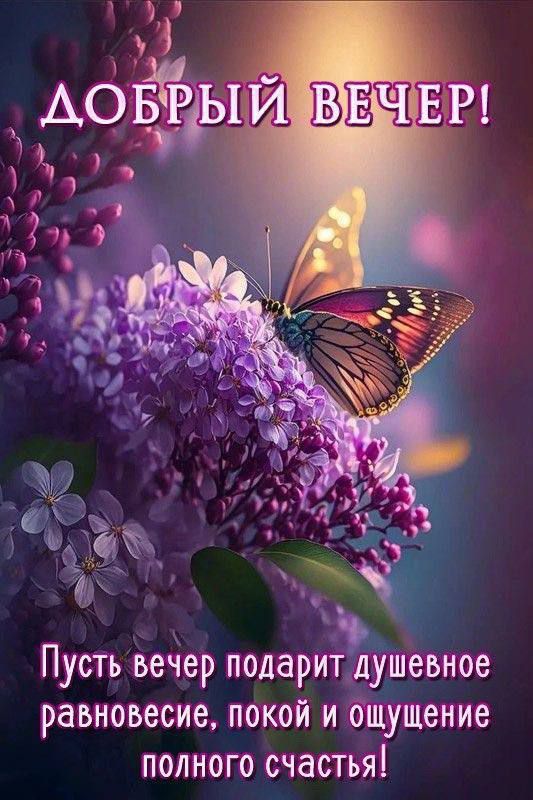 ДОБРЫЙ ВЕЧЕР!
Пусть вечер подарит душевное равновесие, покой и ощущение полного счастья!