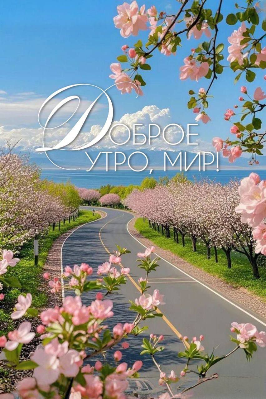 Доброе утро, мир!