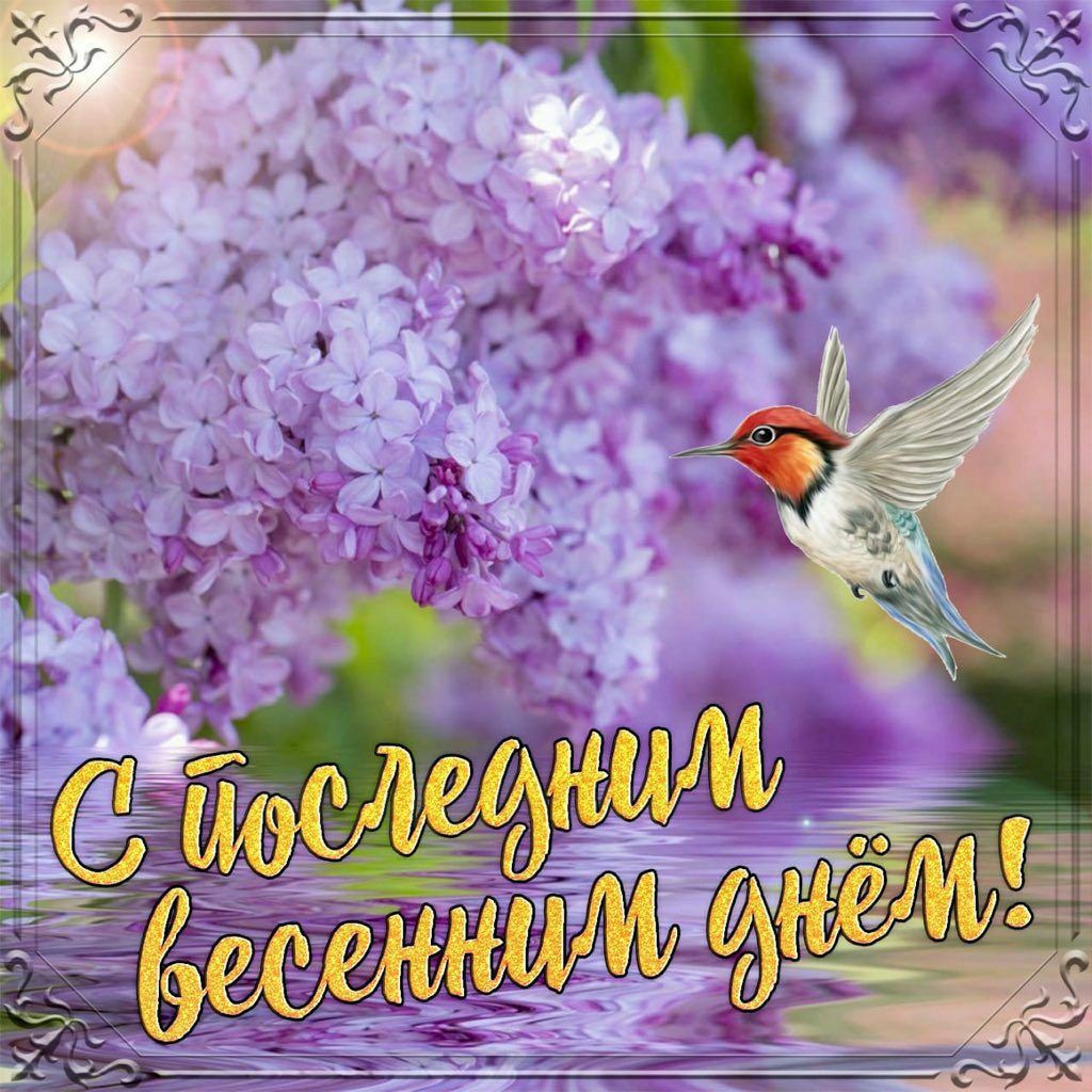 С последним весенним днём!