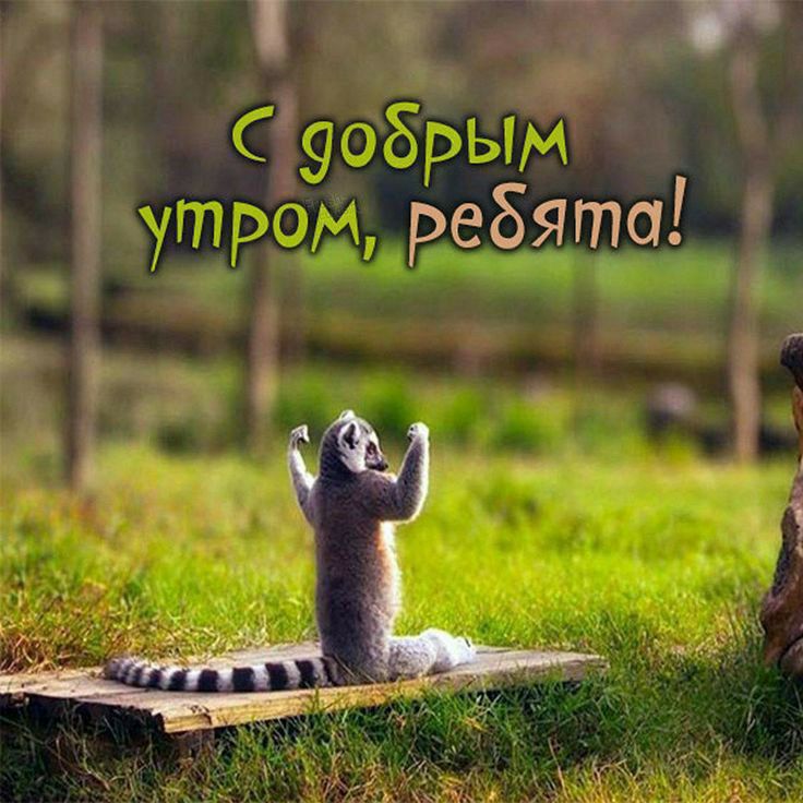 С добрым утром, ребята!