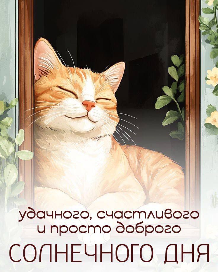 удачного, счастливого и просто доброго СОЛНЕЧНОГО ДНЯ