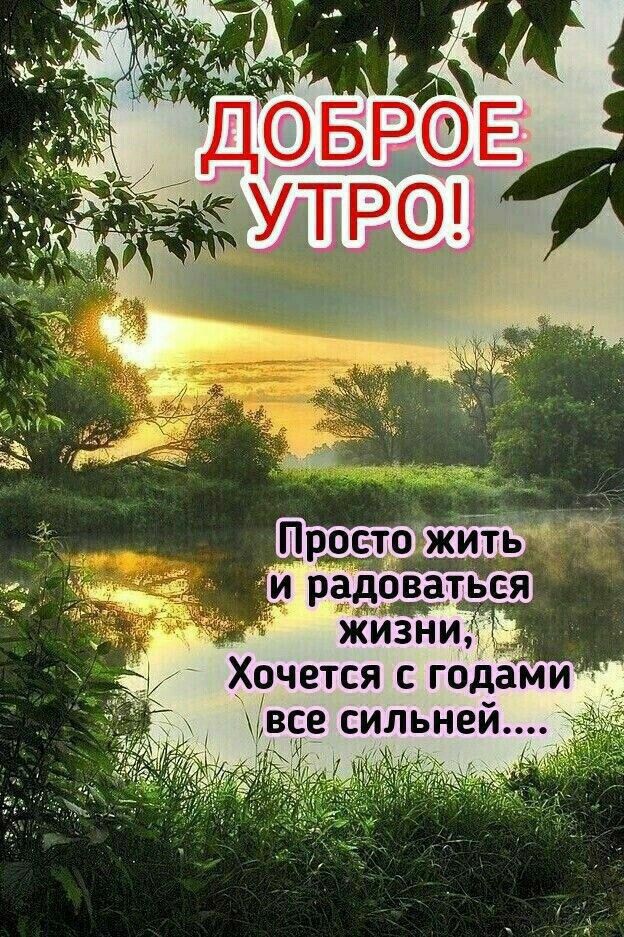 ДОБРОЕ УТРО!
Просто жить и радоваться жизни,
Хочется с годами все сильней....