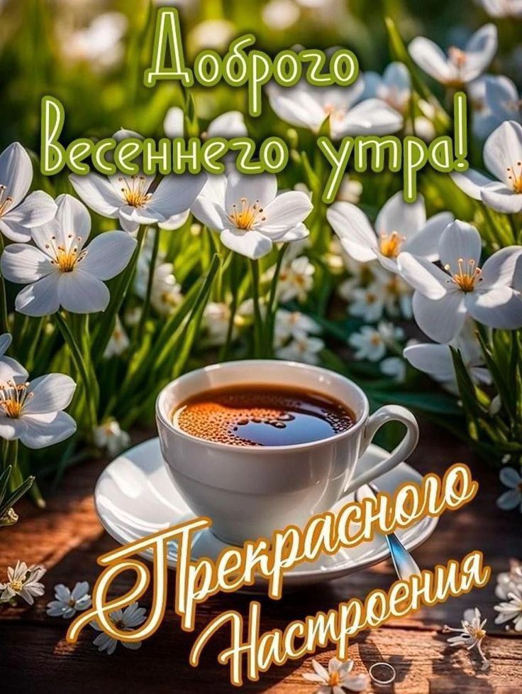 ДоброГО весеннего утра! Прекрасного Настроения