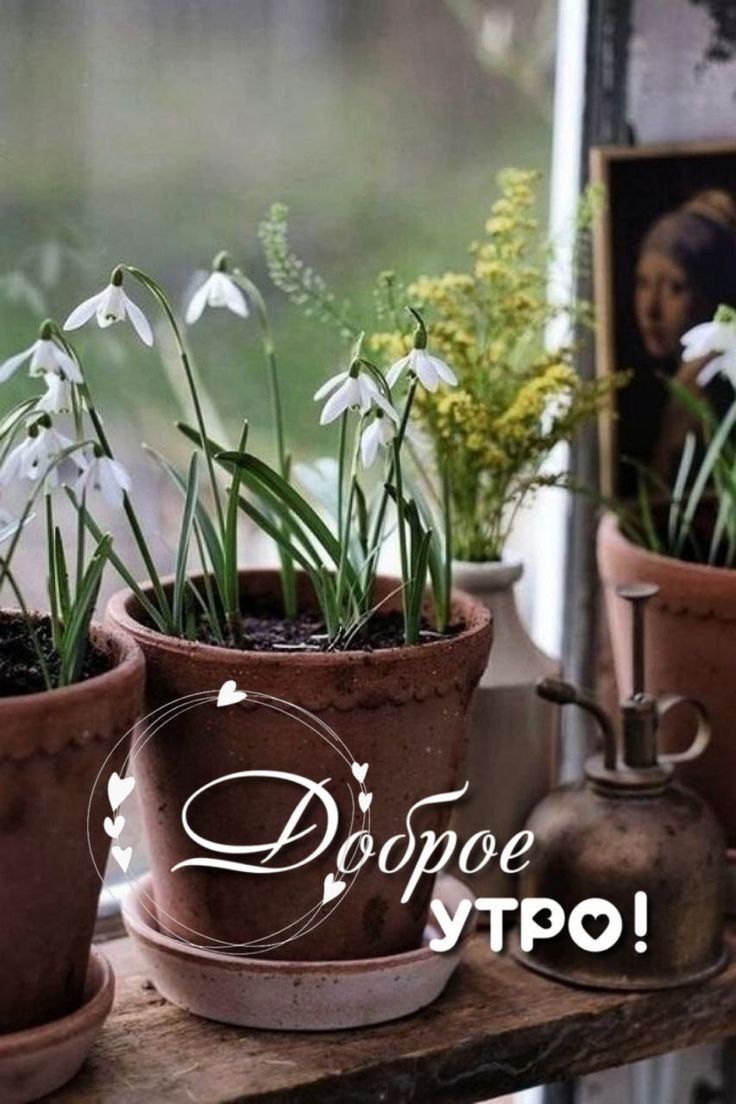 Доброе утро!