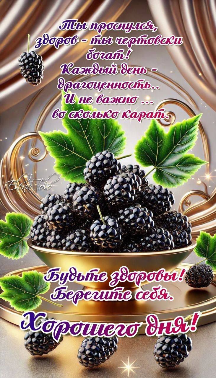 Ты проснулась, здоров - ты чертовски богат! Каждый день - драгоценность.. И не важно ... во сколько каратов. Будьте здоровы! Берегите себя. Хорошего дня!