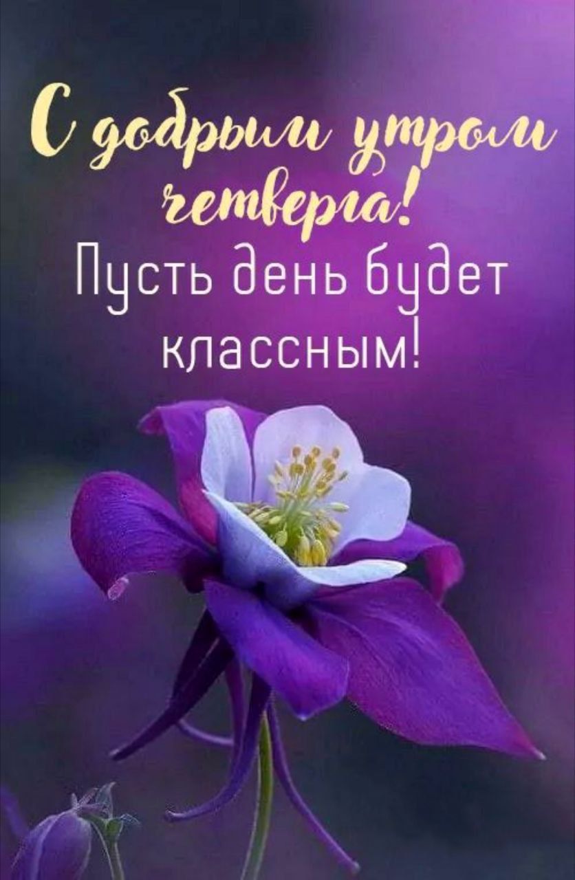 С добрыми утрами четверга! Пусть день будет классным!