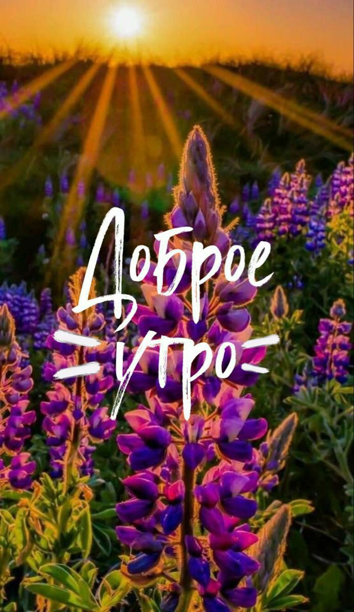 Доброе утро