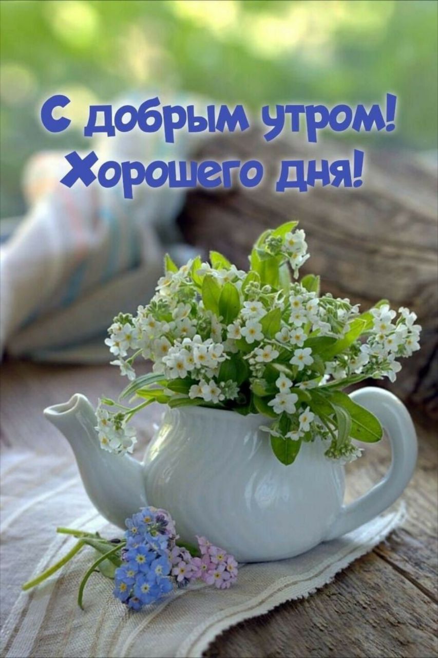 С добрым утром! Хорошего дня!